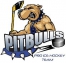 Bristol Pitbulls logo