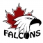Coldwater Falcons logo