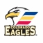 Colorado Eagles logo