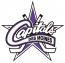 Des Moines Capitals logo