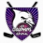 IC Epinal Les Dauphins logo