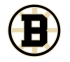 Fraser Valley Bruins logo