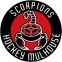 HC Mulhouse logo