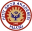 Hitit Spor Akademisi logo