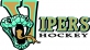 Johannesburg Vipers logo