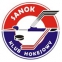 STS Sanok logo