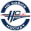 TJ VSZ Kosice logo