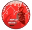 SG Annecy 2 logo