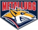 Metallurg Magnitogorsk logo