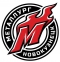 Metallurg Novokuznetsk logo