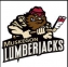 Rochester Mustangs logo