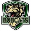 New York Bobcats logo