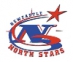 Newcastle North Stars logo