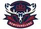 Newfoundland Regiment logo