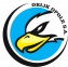 PGE Orlik Opole logo