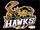 Pachuca Hawks logo
