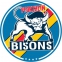 Pforzheim Bisons logo