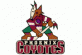 Arizona Coyotes logo