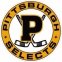 Pittsburgh Selects logo