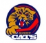 Port Huron Border Cats logo