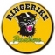 Ringerike IHK logo