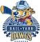 Roanoke Rail Yard Dawgs logo