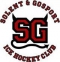 Solent & Gosport Devils logo