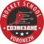 Sozvezdie Voronezh logo