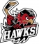 Streatham Blackhawks logo