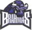 Texas Brahmas logo