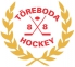 Töreboda HC logo