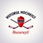 ACS Viitorul Bucuresti logo