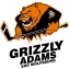 Grizzly Adams Wolfsburg logo