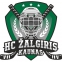 HC Žalgiris Kaunas logo