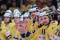 Swedes with golden helmets WC 2013