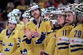 Swedes with golden helmets WC 2013