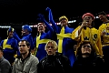 Swedish fans @WC2018