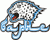 Barys Astana logos