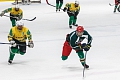 Brazil - Mexico B @ 2016 Pan-American Tournament. Photo: Jorge Femat Solis