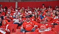 Danish fans at 2012 WC