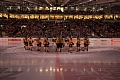 EBEL, Quarter Finals 2016 Game 5, Vienna Capitals entry