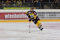 EBEL, Quarter Finals 2016 Game 5, Vienna Capitals, Michael Schiechl