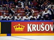 Slovakia bench @WC2018